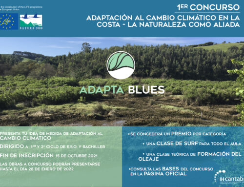 El proyecto LIFE ADAPTA BLUES pone en marcha su 1er  concurso Adaptación al cambio climático en la costa – La naturaleza como aliada.