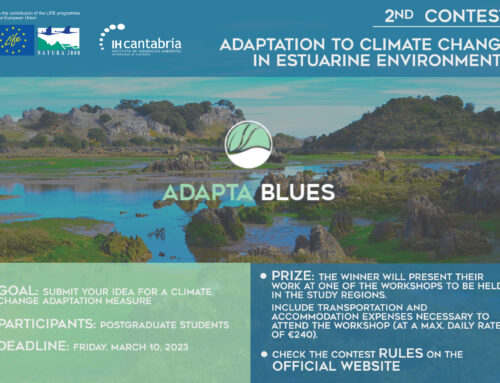 El proyecto LIFE AdaptaBlues lanza su segundo concurso “Adaptación al Cambio Climático en ambientes estuarinos”