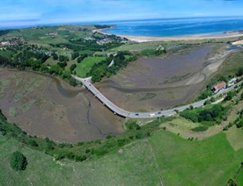 Published at Quercus magazine “El estuario de Oyambre: un laboratorio vivo en el litoral cantábrico”