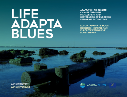 LIFE Adaptablues Project Releases Layman Report in Five Languages